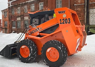 Locust L1203